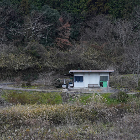 - Indigo as a Living Process - at 藍屋テロワール